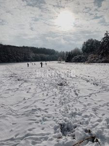 Pheasant hunt stalking- ending season 2024/2025 3