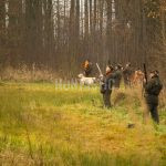 Pheasantry Radany ✓ Hunting Trips of pheasant ✓ Stalking hunt of pheasants with dogs