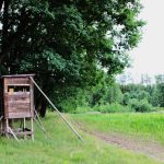 Pheasantry Radany in the Czech Republic ✓ Hunting pheasants by stalking with the dogs ✓