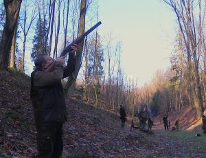 Pheasant hunt in pheasantry Albertovec- Autumn 2024 0