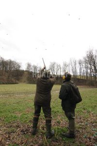Private pheasant hunt - January 2025 2