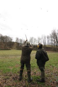 Pheasant hunt in pheasantry Albertovec- January 2025 2