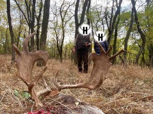 Fallow buck hunt in game preserve Pravice 2026 2