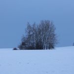 Hunting ground Libochová ✓ Fee hunting for hare ✓ The hunting ground is located in the Highlands