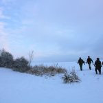 Hare hunt in the Czech republic ✅ Free area Libochová in Vysocina region ✓