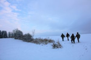 Hare hunt in the Czech Republic 2025 1