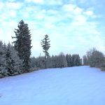 Hunting ground Libochová ✓ Fee hunting for hare ✓ The hunting ground is located in the Highlands