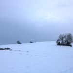 Hunting ground Libochová ✓ Fee hunting for hare ✓ The hunting ground is located in the Highlands