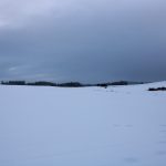 Hunting ground Libochová ✓ Fee hunting for hare ✓ The hunting ground is located in the Highlands