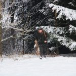 Hare hunt in the Czech republic ✅ Free area Libochová in Vysocina region ✓