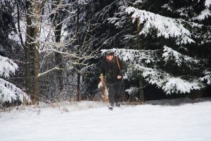 Hare hunt in the Czech Republic 2025 3