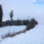 Hunting ground Libochová ✓ Fee hunting for hare ✓ The hunting ground is located in the Highlands