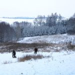 Hare hunt in the Czech republic ✅ Free area Libochová in Vysocina region ✓
