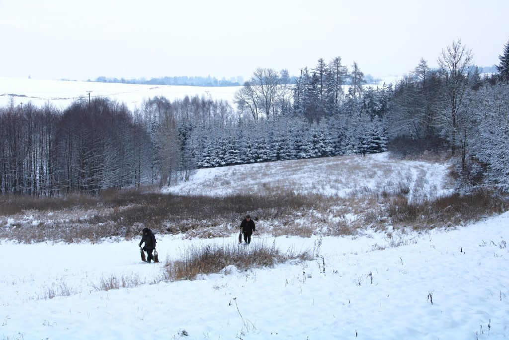 Hunting ground Libochová ✓ Fee hunting for hare ✓ The hunting ground is located in the Highlands