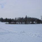 Hunting ground Libochová ✓ Fee hunting for hare ✓ The hunting ground is located in the Highlands