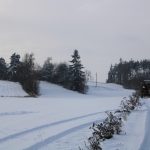 Hunting ground Libochová ✓ Fee hunting for hare ✓ The hunting ground is located in the Highlands