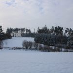 Hunting ground Libochová ✓ Fee hunting for hare ✓ The hunting ground is located in the Highlands