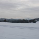 Hunting ground Libochová ✓ Fee hunting for hare ✓ The hunting ground is located in the Highlands