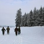 Hare hunt in the Czech republic ✅ Free area Libochová in Vysocina region ✓