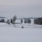 Hunting ground Libochová ✓ Fee hunting for hare ✓ The hunting ground is located in the Highlands