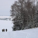 Hunting ground Libochová ✓ Fee hunting for hare ✓ The hunting ground is located in the Highlands
