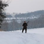 Hare hunt in the Czech republic ✅ Free area Libochová in Vysocina region ✓