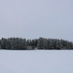 Hunting ground Libochová ✓ Fee hunting for hare ✓ The hunting ground is located in the Highlands