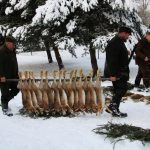 Hare hunt in the Czech republic ✅ Free area Libochová in Vysocina region ✓