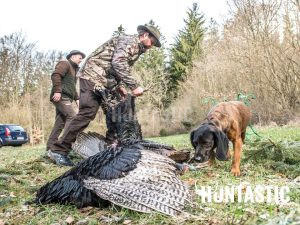 Wild Turkey Hunt Trip in the Czech republic 2025 3