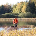 Duck hunting ✅ Ponds in České Budějovice ✅ Czech Republic