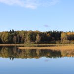 Duck hunting ✅ Ponds in České Budějovice ✅ Czech Republic