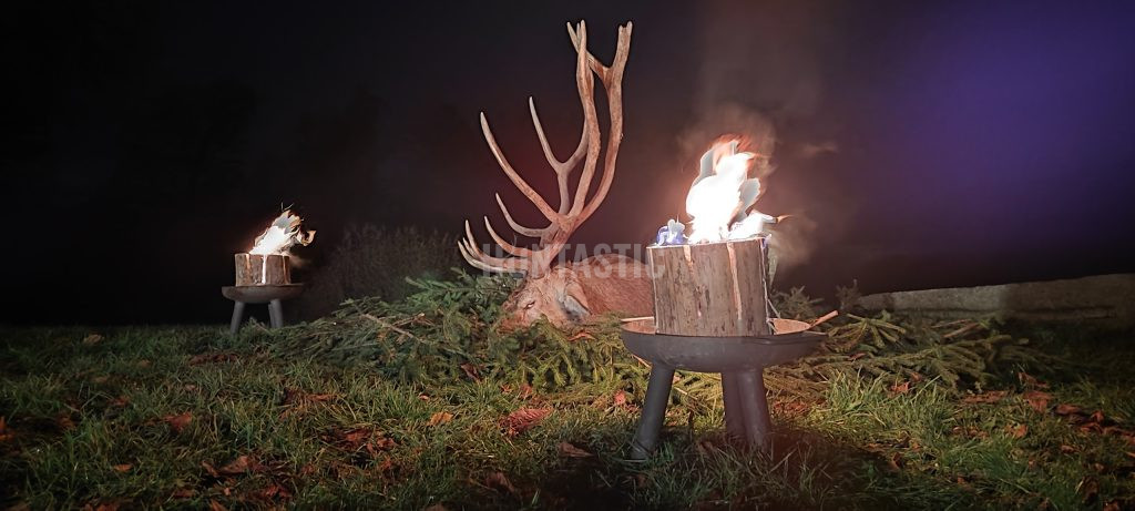 Red stag hunt in the game preserve Kralice in the Czech republic 220 - 230 CIC