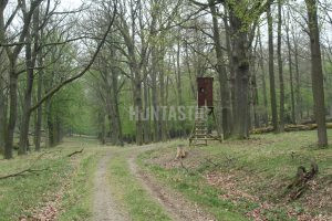 Red stag hunt in game preserve Kralice in the Czech republic 2024/2025 3