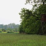 Pheasantry Kroměříž in the Czech Republic ✅ Pheasant hunt in the Czech Republic ✅