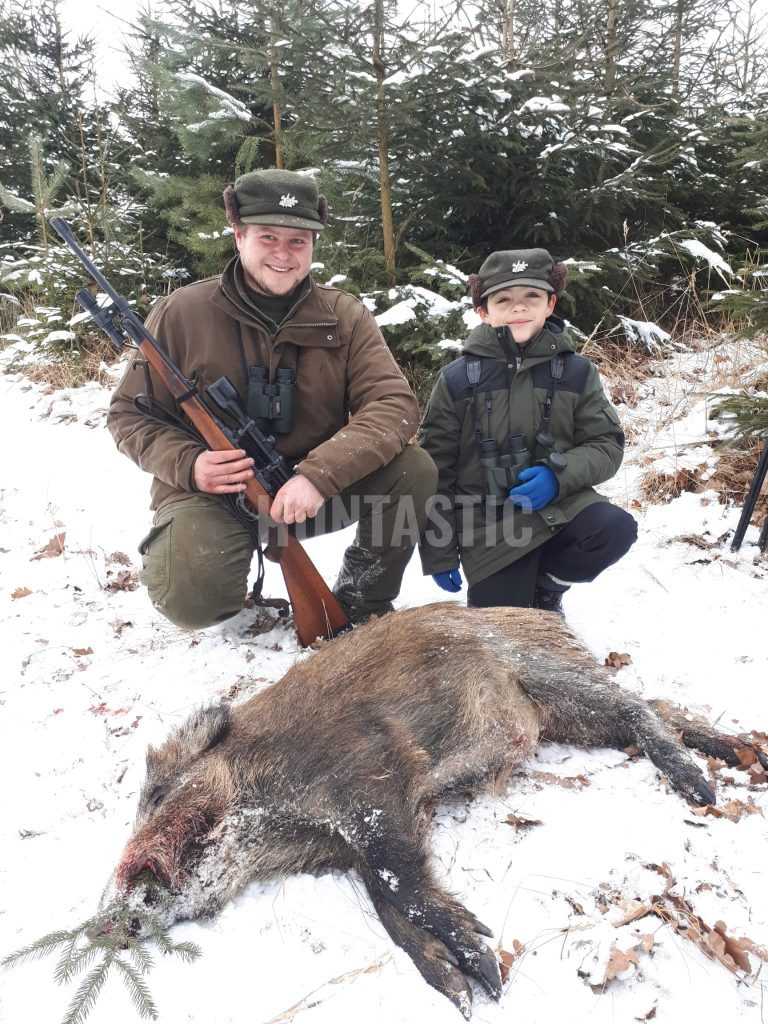 Wild boar hunt in the river valley Oslava