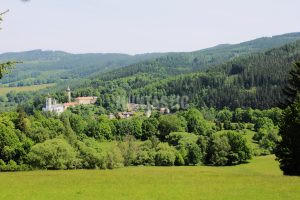 Red stag hunting in Šumava mountains 2025 0