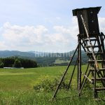 Hunting for a fee in the Přízeř hunting area ✅ Fallow deer hunting · Wild boar Hunting ·  Roe deer Hunting · Red stag hunting