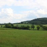 Roe deer hunting for a fee in hunting ground Překážka in South Bohemia ✅ Roe deer hunting · Wild boar hunting ✅