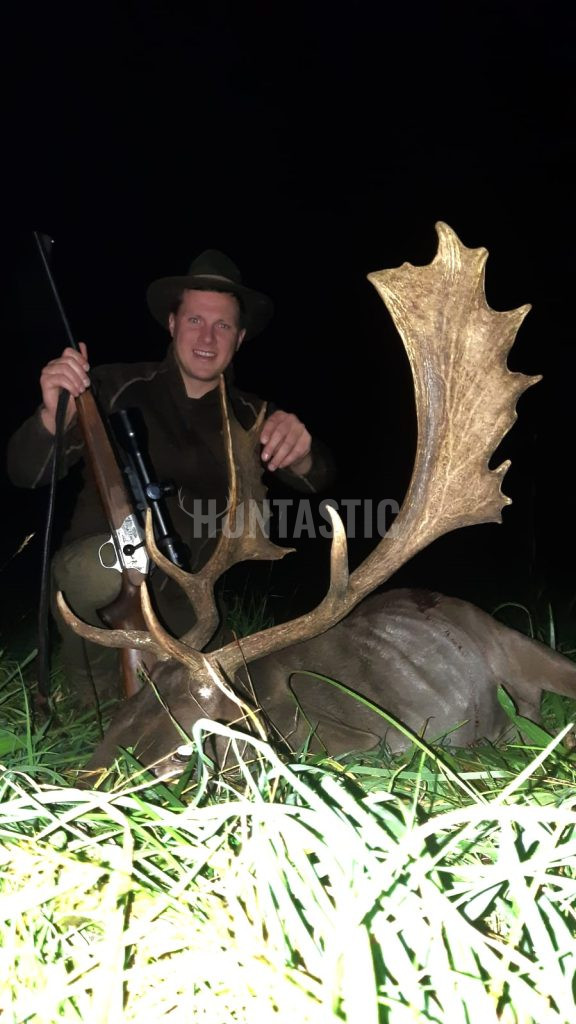 Fallow buck hunt in the river valley Oslava 2024