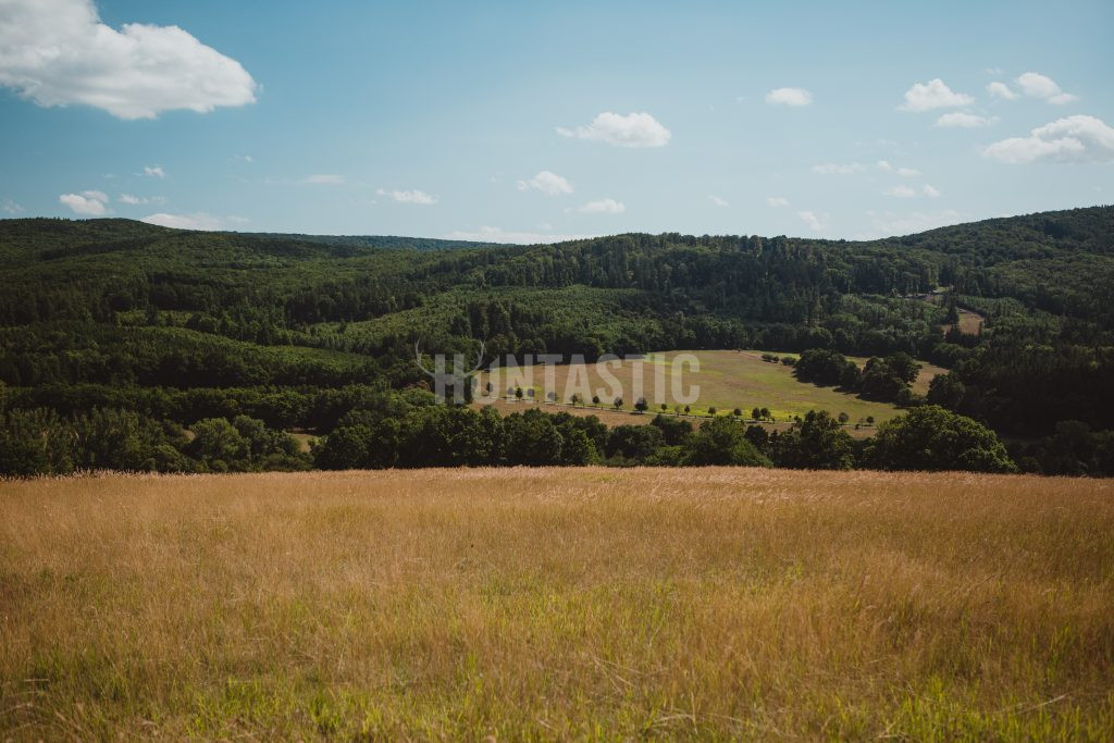 Game preserve Radějov in the Czech Republic ✅ Resort Radějov ✅ Hunting offers to hunt red stag and hunt fallow buck ✅