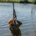 Duck hunting in the Czech republic ✅ Mallard hunting in the Czech republic ✅
