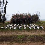 Goose hunting in Hungary- Biharugra