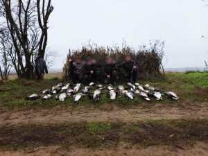 Goose hunt in Hungary-Biharugra 2024/2025 1