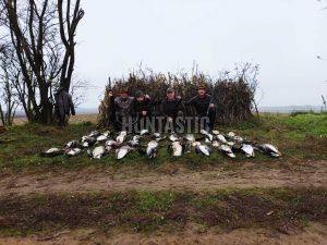 Goose hunt in Hungary-Biharugra 2024/2025 0