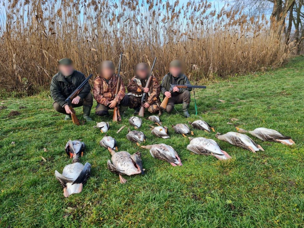 Goose hunt in Hungary-Biharugra 2024/2025