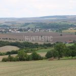 Hunting ground Zbýšov offers hunts of hare and pheasants