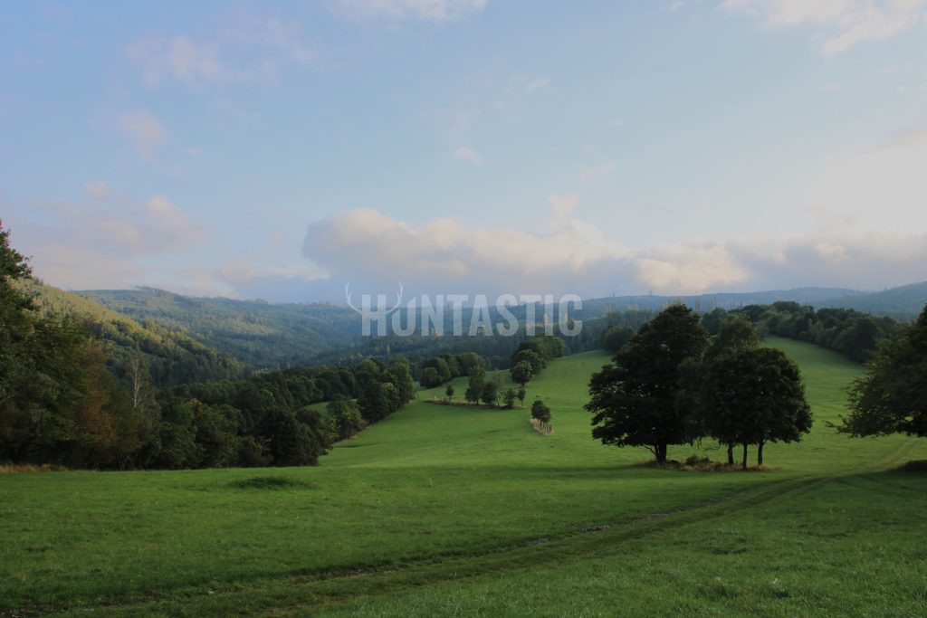 The Janovská Dolina game preserve is located in the Jeseníky Mountains. Milu deer, axis deer and European-Carpathian line deer are bred here. The area of ​​this field is 370 hectares