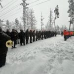 Driven hunt in South Bohemian near Trhove Sviny