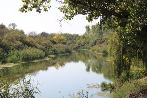 Duck hunt in Serbia 2025/2026 0