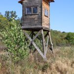 Hunting ground Mostonga Bač